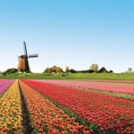 In Olanda si punta alle riforme sul gioco